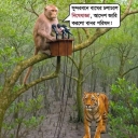 Tapukhan